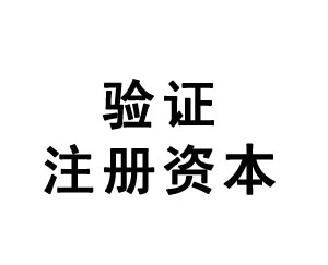 驗證注冊資本
